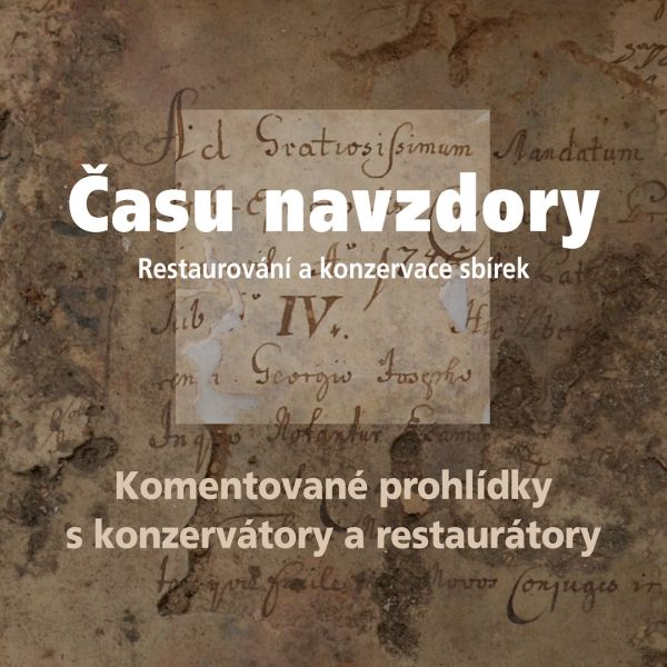 Komentovaná prohlídka | Času navzdory