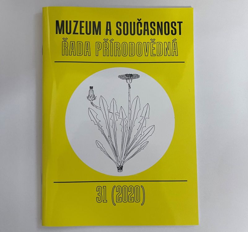 Muzeum a současnost 31/2020